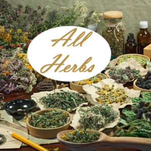 Blessed Herbs